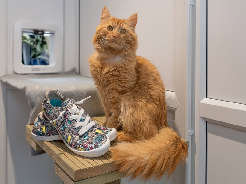 Skechers Woodgreen Pets Charity